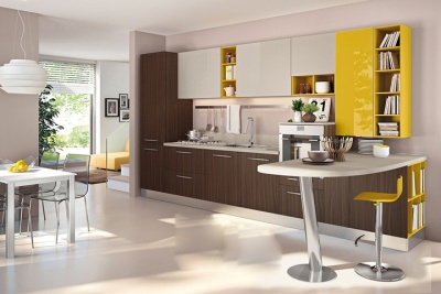 kitchen cabinet (1)