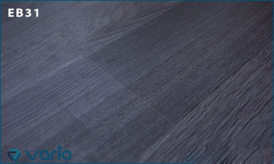 Vario-EB31