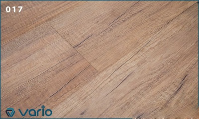 Vario-O17